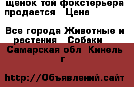щенок той-фокстерьера продается › Цена ­ 25 000 - Все города Животные и растения » Собаки   . Самарская обл.,Кинель г.